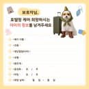 [공지] [필독] 견출지 김포점 애견호텔 정보 및 예약 방법, 요금, 주차 정리