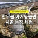 고양 찬우물 체험 동물농장 후기｜동물먹이주기 가능한 체험농장, 주차·이용요금·소요시간 정보