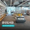 파주 문산도서관 후기 이용시간·주차요금부터 어린이자료실까지