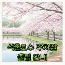 잠실 석촌호수 주차장 추천 및 주차요금 꿀팁 총정리