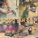 경주 아기랑 가볼 만한 곳 주렁주렁 실내 동물원 13개월 아기랑 방문 후기(주차, 요금, 수유실 정보)