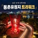 대구 동촌유원지 트리워크 완벽 정리 (이용시간·요금·주차·전망대 후기)