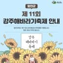 7월 경남 축제 함안 강주 해바라기 축제 정보 주차팁 요금 with 아이랑 함안 여행
