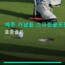 여주 가남읍 스크린골프장 효종골프 합리적 요금과 주차 편리함 눈에 띄네요