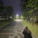 동탄 여울공원 새벽 산책 | 잠 안 올 때 반려견과 새벽 산책 걷기 (주차 요금, 길고양이 가족)