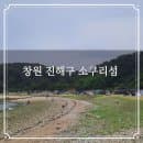 창원 진해구 소쿠리섬 트레킹 배 시간표 요금 주차 꽃사슴 찾기 등산코스