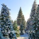 부산 기장 빌라쥬 드 아난티 트리빌리지 기간 위치 주차장 주차요금 점등 눈내리는 시간 정리