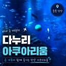 충북 단양 가볼만한 곳 다누리아쿠아리움 이용요금 주차
