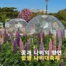 함평 나비축제 요금 공연 황금박쥐 주차장 첫날 후기