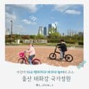 울산 태화강 국가정원 자전거 피크닉 텐트 주차 요금
