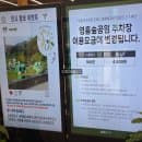 수원 영흥수목원 주차 요금부터 입장료 할인까지 완전정복 | 겨울 실내 데이트 추천