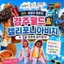 비치·경주월드 썸머,썸콤보 통합권｜반입가능음식 주차요금할인 먹거리 썬베드위치 (4세,5세 이용후기)