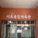 [서울 서초구 가볼만한 곳] 서초종합체육관 수영장 평일/주말 자유수영 꿀팁 (주차, 요금 정보 총정리)