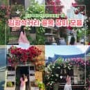 김광석 다시그리기길 대구 골목길 장미 포토존 산책 위치 및 공용주차장 요금