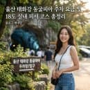 울산 태화강 동굴피아 주차 요금 및 18도 실내 피서 코스 총정리