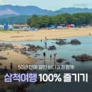 강원도 삼척 액티비티 여행 :: 덕봉산, 장호항 스노클링, 해양레일바이크 (주차장, 이용요금, 소요시간 등)