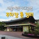 서울 어린이대공원 주차장 할인, 요금, 꿀팁 정리