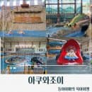 [경기도/남양주]남양주 아쿠와조이 후기/서울근교아이랑 가기 좋은 실내 워터파크 추천/주차/입장요금