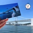 8월 서천 맥문동 축제 일정 요금 주차 정보 안내