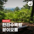 제주공항 근처 가볼만한곳 제주 한라수목원 주차장 요금 광이오름