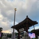 서울 가볼만한 곳 I 봉은사 연꽃축제(봉은사 주차요금, 코엑스 주차 꿀팁)