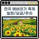 전국 해바라기 축제 함안 태백 강주 서산 연천 경주 등 일정과 주차장 요금 정보