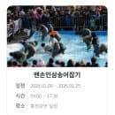 2026 홍천강 꽁꽁축제 얼음낚시·요금·발권·주차·인삼송어·운영시간·체험·프로그램