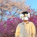 부천 가볼만한곳 진달래동산 실시간 개화 상황! 주차 요금 &amp; 대중교통 꿀팁 🌸
