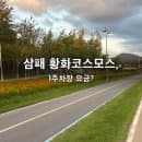 남양주 한강공원 삼패지구 황화코스모스, 일요일 저녁 주차요금·1주차장 위치 한눈에