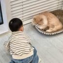 아이와 실내 고양이카페에서 힐링하기 캣플헤븐 AK플라자 금정점 주차요금