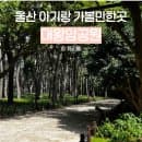 울산 아기랑 가볼만한곳 대왕암공원 주차 출렁다리 요금