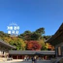 11월 둘째 주 가을 경주 불국사 방문 후기 후문 주차장 이용 요금 2,000원