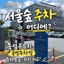 서울숲 주차 어디에?｜뚝섬유수지 공영주차장 주차요금·위치 비교