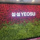 여수여행코스 현지인추천. 쥐포파는곳,쥐포가격,아쿠아플라넷,공항주차요금, 여수 마사지