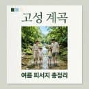 2026년 강원도 고성 계곡 물놀이, 장신리 &amp; 도원리 완벽 비교! (주차/취사/요금)