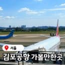 김포공항 국내선 주차장 주차요금 주차비, 김포공항 주차 택시 렌트카 예약 정보 국내 여행준비물...