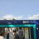 2026 울산 대왕암 출렁다리 위치 주차 및 요금안내