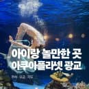 수원 아이랑 실내 갈만한 곳 ｜ 아쿠아플라넷 광교 · 주차 · 공연시간표 · 요금