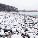 울산 대왕암공원 겨울 바다 산책 코스｜출렁다리·울기등대·송림길·주차요금 총정리