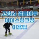 고양 어울림누리 빙상장 얼음마루 아이스링크장 스케이트장 주차 요금 입장료 스케이트대여 할인 이용팁...