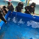 경기도 눈썰매장 팜팜랜드 요금 할인 주차 취사 총정리
