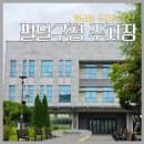[수원] 행궁동 주차 팁, 팔달구청 수원화성박물관 주차장 요금, 통닭거리 &amp; 감성 카페 추천 동선 총정리