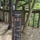 평창 여행 가볼만한곳 오대산 국립공원 월정사&amp;전나무숲길 주차요금