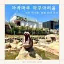 아라마루 아쿠아리움 자차이용 주차, 셔틀버스 시간, 요금안내, 패키지, 관람순서