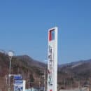 서울 근교 아이와 함께 가볼 만한 곳 가평베고니아새정원 (요금, 주차, 볼거리)