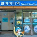 월미바다역 이용 전 알아두면 좋은 운행시간과 요금 주차 정보