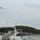 인천 삼목항 선착장 주차 및 장봉도로 가는 배시간 &amp; 요금 정보