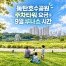 동탄호수공원 주차장 주차타워 요금 총정리 + 루나쇼 시간 준비물