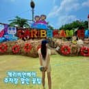 캐리비안베이 주차장 카카오 꿀팁 요금 할인