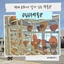 ⟪국립공주박물관⟫공주 여행 필수 코스.무령왕릉 진품 유물의 황금빛 감동.수장고.주차.요금.관람팁.